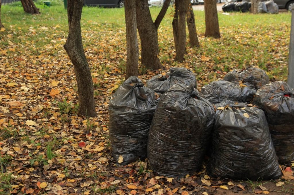 Garden Waste Clearance